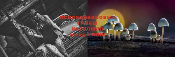 дживик Арсеньев