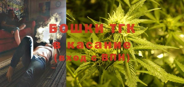 шишки Аркадак