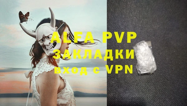 шишки Аркадак