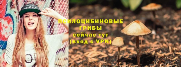 дживик Арсеньев