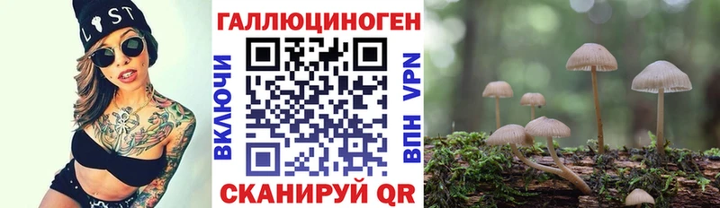 ссылка на мегу вход  Междуреченск  Галлюциногенные грибы мухоморы 